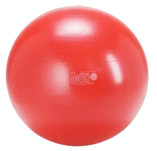 Gymnic Plus Zitball Officeball Powerball Bouncebal Actief meubilair worktrainer.nl worktrainer.com