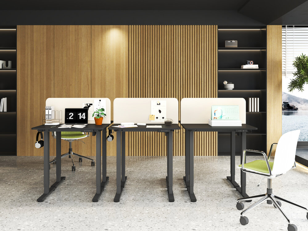 MiniDesk
