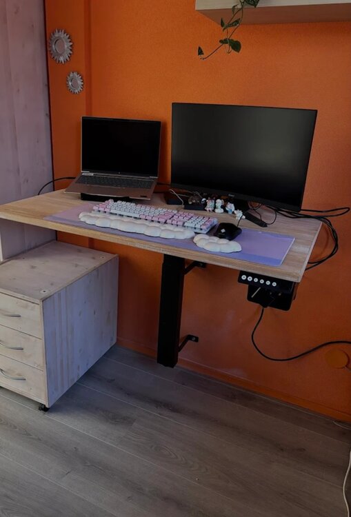 WallDesk | Electric Sit-Stand Table