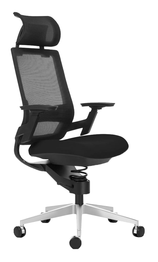 Vergelijkbaar Blijven Duiker Adaptic Comfort | Bureaustoel voor een gezonde rug | Worktrainer.nl