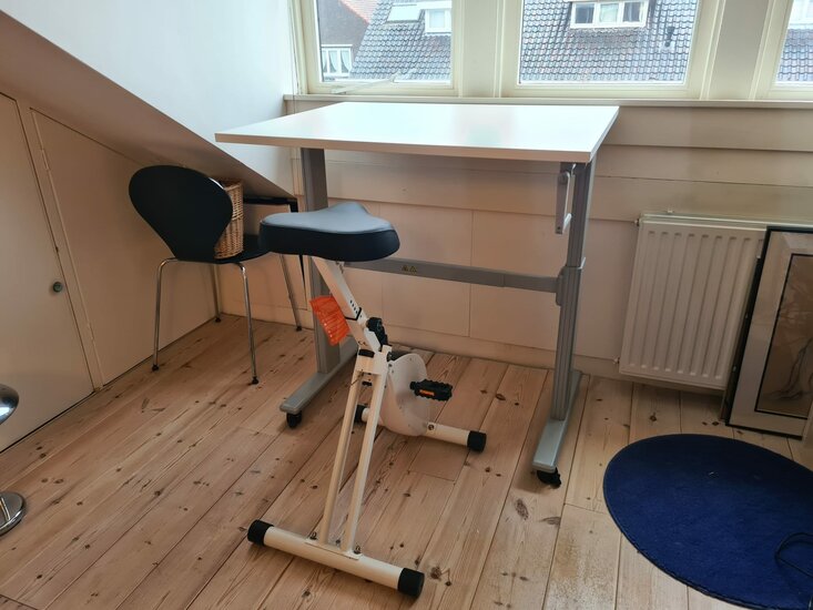 Bureaufiets deskbikes worktrainer.nl
