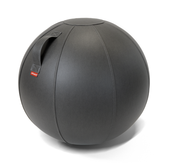 Office Ball zitbal | Ergonomische balansbal | Fitnessbal | Worktrainer.nl