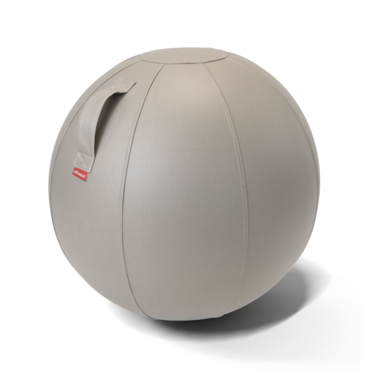 Office Ball zitbal | Ergonomische balansbal | Fitnessbal | Worktrainer.nl