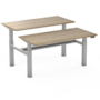 Double Electric Sit-Stand Desk - Honmove Duo - Stable double desk - Worktrainer.com