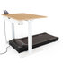 LifeSpan Fitness Treadmill Desk TR1200-DT7 Power | Worktrainer.nl