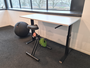 Office Ball sitting ball | Ergonomic Balance Ball | Fitness ball | Worktrainer.com