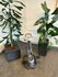 LifeSpan Ampera | Bureaufiets met energieopwekking | Worktrainer