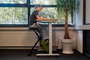 Bureaufiets deskbikes worktrainer.nl