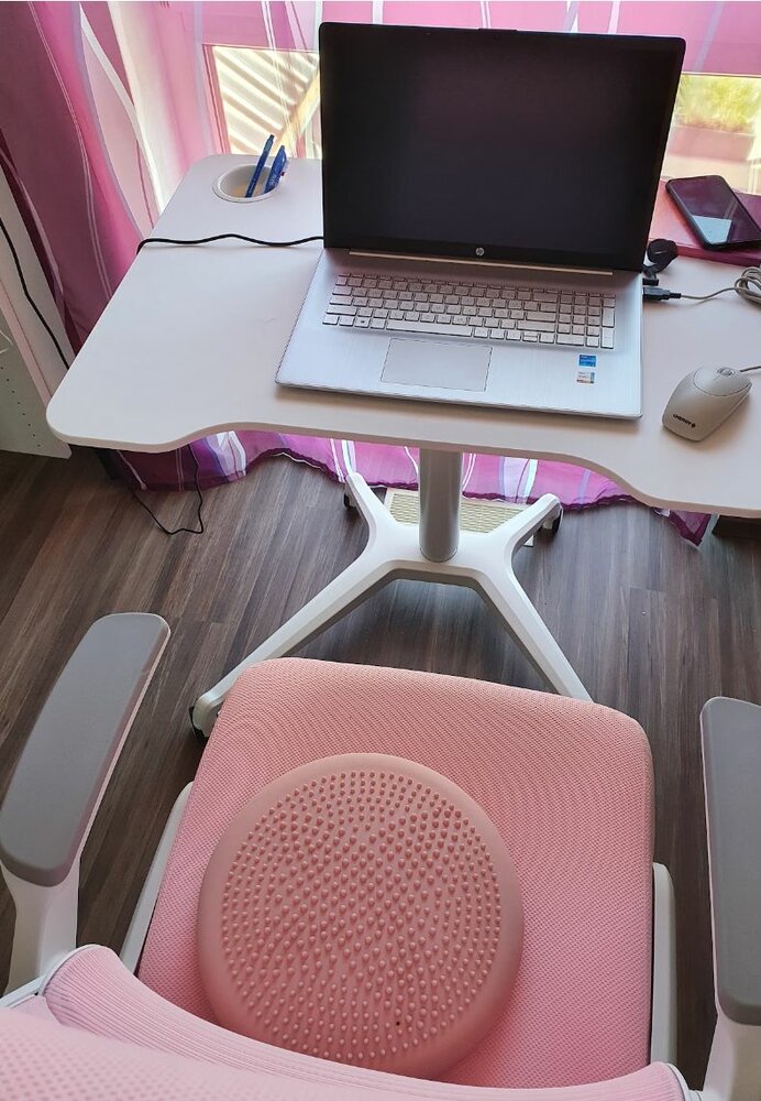 2e Kans | Single Leg Desk | Klein Gasveer Zit-Sta Bureau