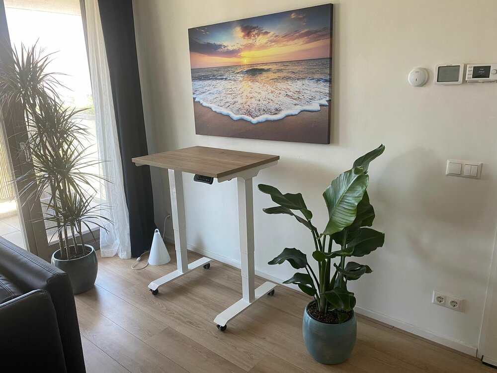 StudyDesk Pro Small | Elektrisch Zit-Sta Bureau
