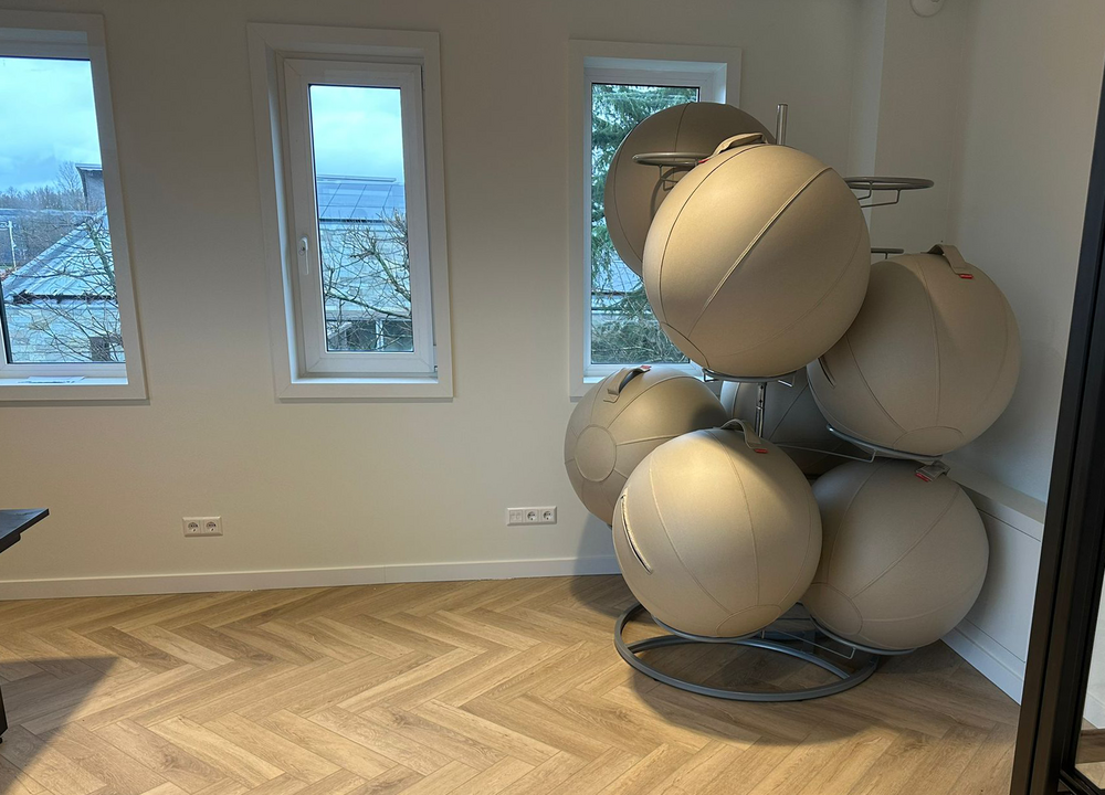 Office Ball Kunstleder | Zitbal