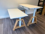 Design Hoog Laag Bureau - Elektrisch Zit-Sta Bureau - OakDesk - Worktrainer.nl 