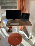 Elektric sit-stand table - OneLeg - 1 leg - worktrainer.com