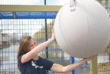 Office Ball sitting ball | Ergonomic Balance Ball | Fitness ball | Worktrainer.com