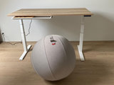 Office Ball sitting ball | Ergonomic Balance Ball | Fitness ball | Worktrainer.com