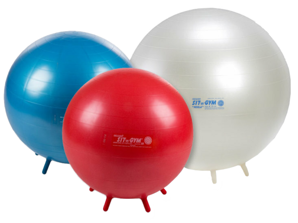 Sit 'n' Gym | Chair ball