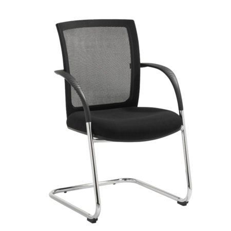 Meeting Chair RANA-S