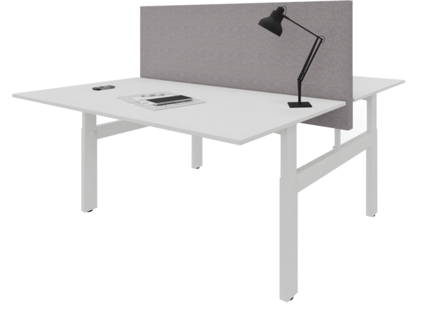 2nd Chance Nyink | Wall Partition Double Standing Desk