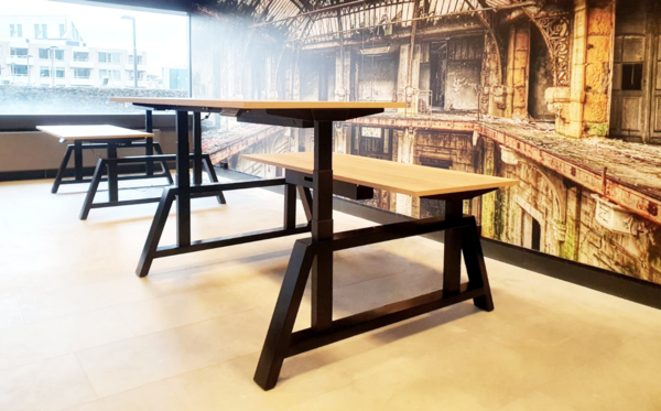 OakDesk Duo | Electric Sit-Stand Desk