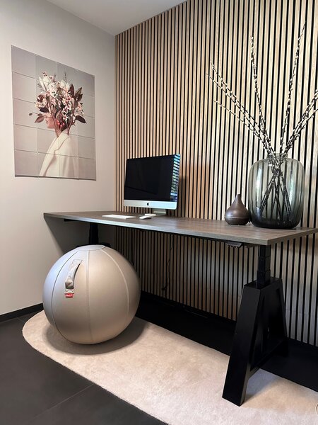 Office Ball Kunstleder | Zitbal