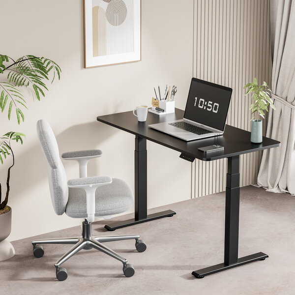ErgoPrice | Electric Sit-Stand Desk