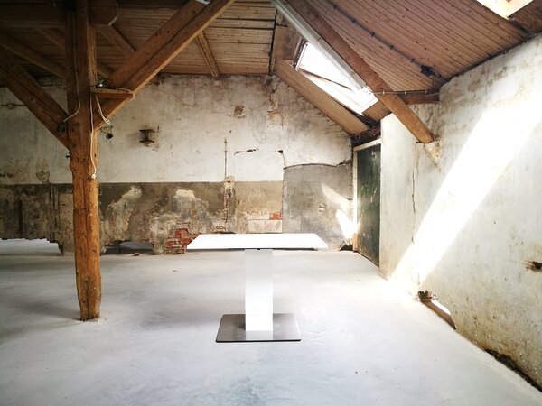 Showroom model - Linak | Sit-stand column table 