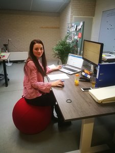 VLUV LEIV Small mustard | kies voor een gezonde werkplek bezoek Worktrainer.nl